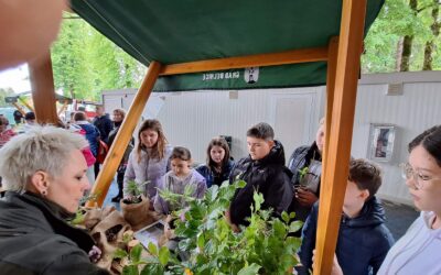 Šuma fest